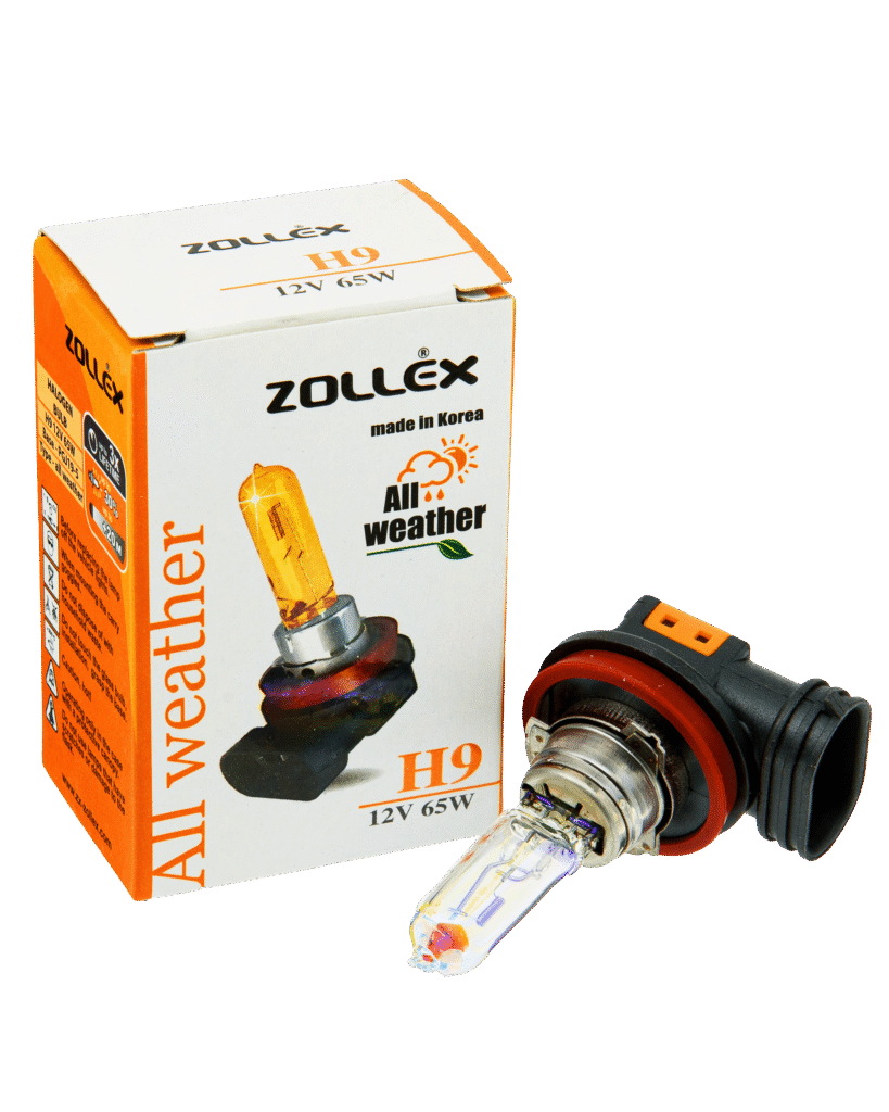 H9 / All Weather / 65W / 12 V